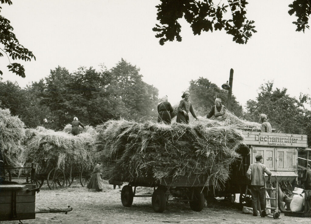 Fotografie aus Groß Partwitz mit Dreschmaschine und Arbeitern, um 1965.